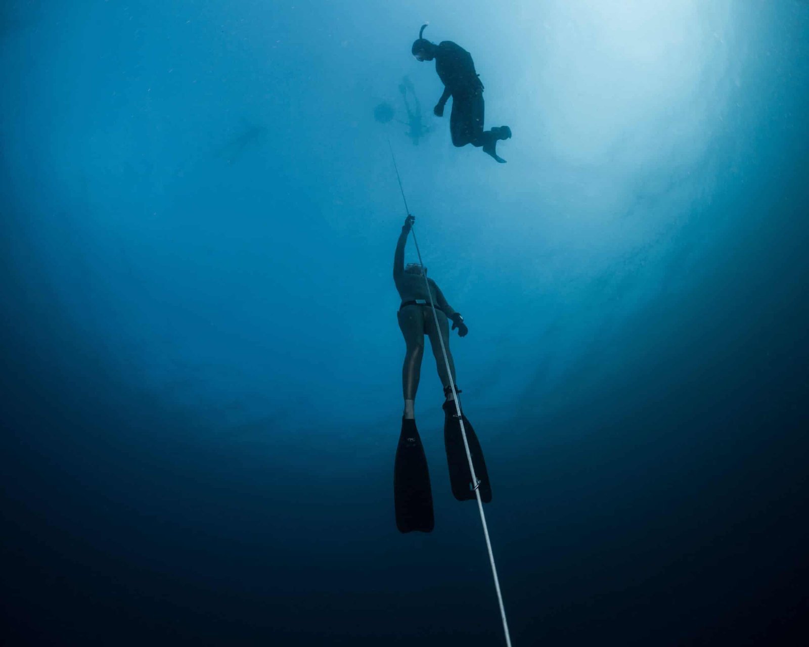 Free Diving Training Program Freediving Discovery Program and Courses in Panglao, Bohol - Freediving ...